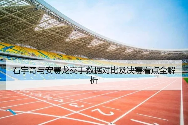 石宇奇与安赛龙交手数据对比及决赛看点全解析